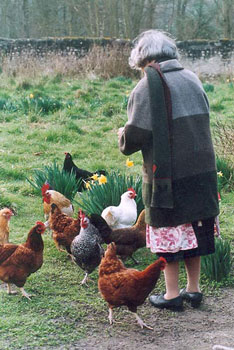 Agnès et les poules - Antoine Meunier, 2002