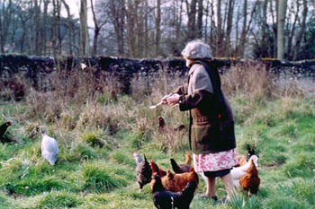 Agn�s nourrit les poules - Antoine Meunier, 2002