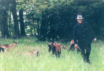 Sente de la chèvre qui bâille : Orée du bois, échappée de Touraine, Roussette et leurs cabris - Antoine Meunier, 1991